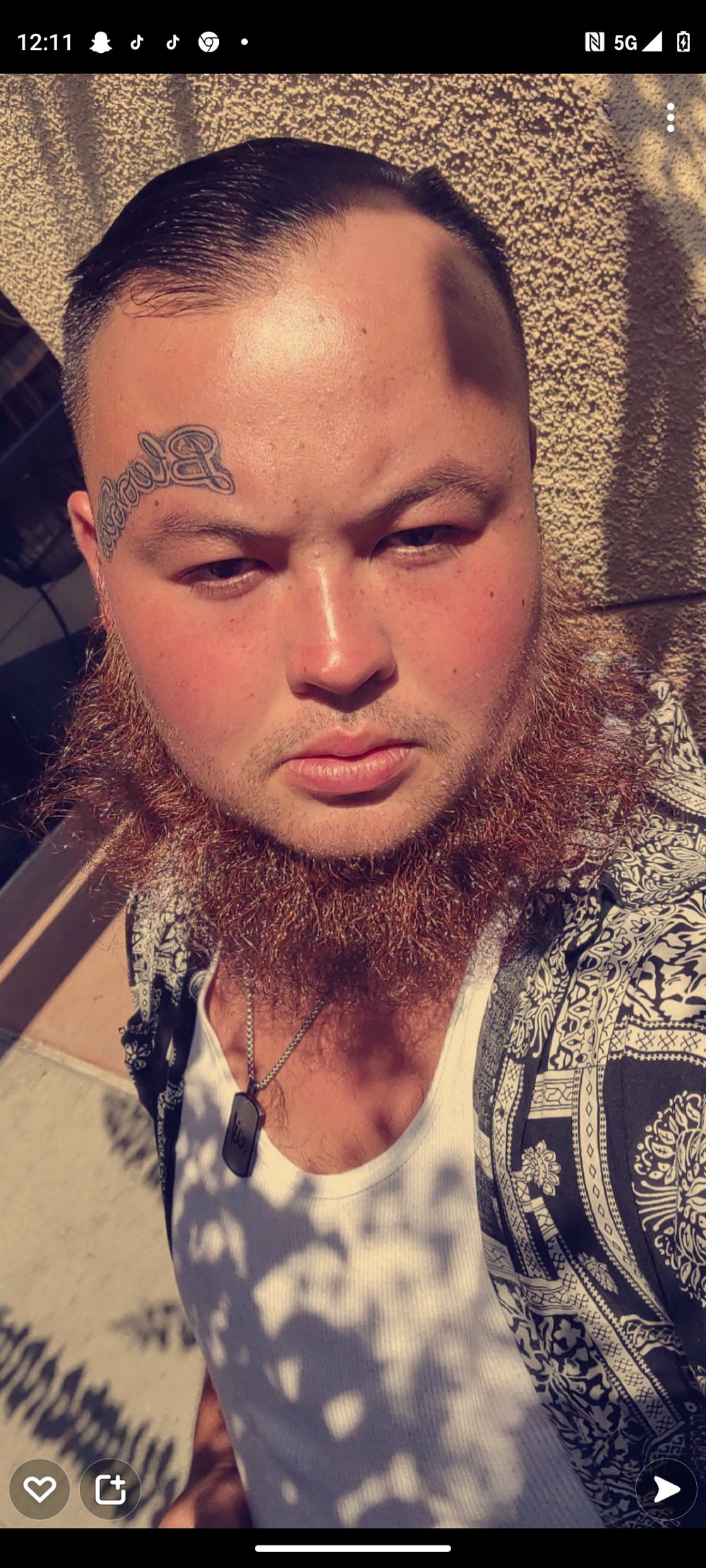 theprinceofhomelessness OnlyFans profile picture