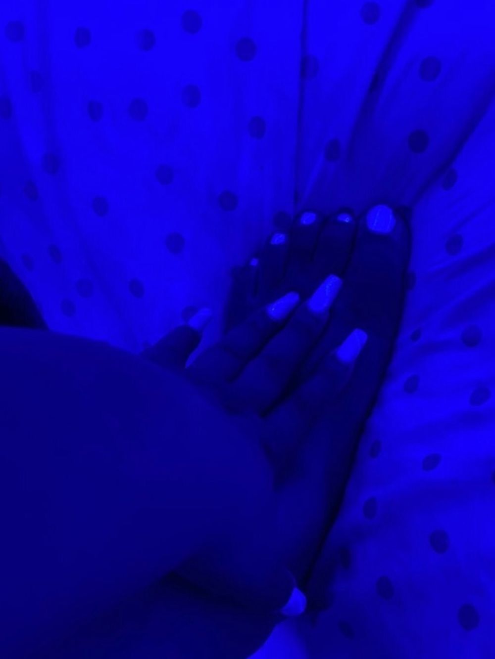 exoticyvette OnlyFans profile picture