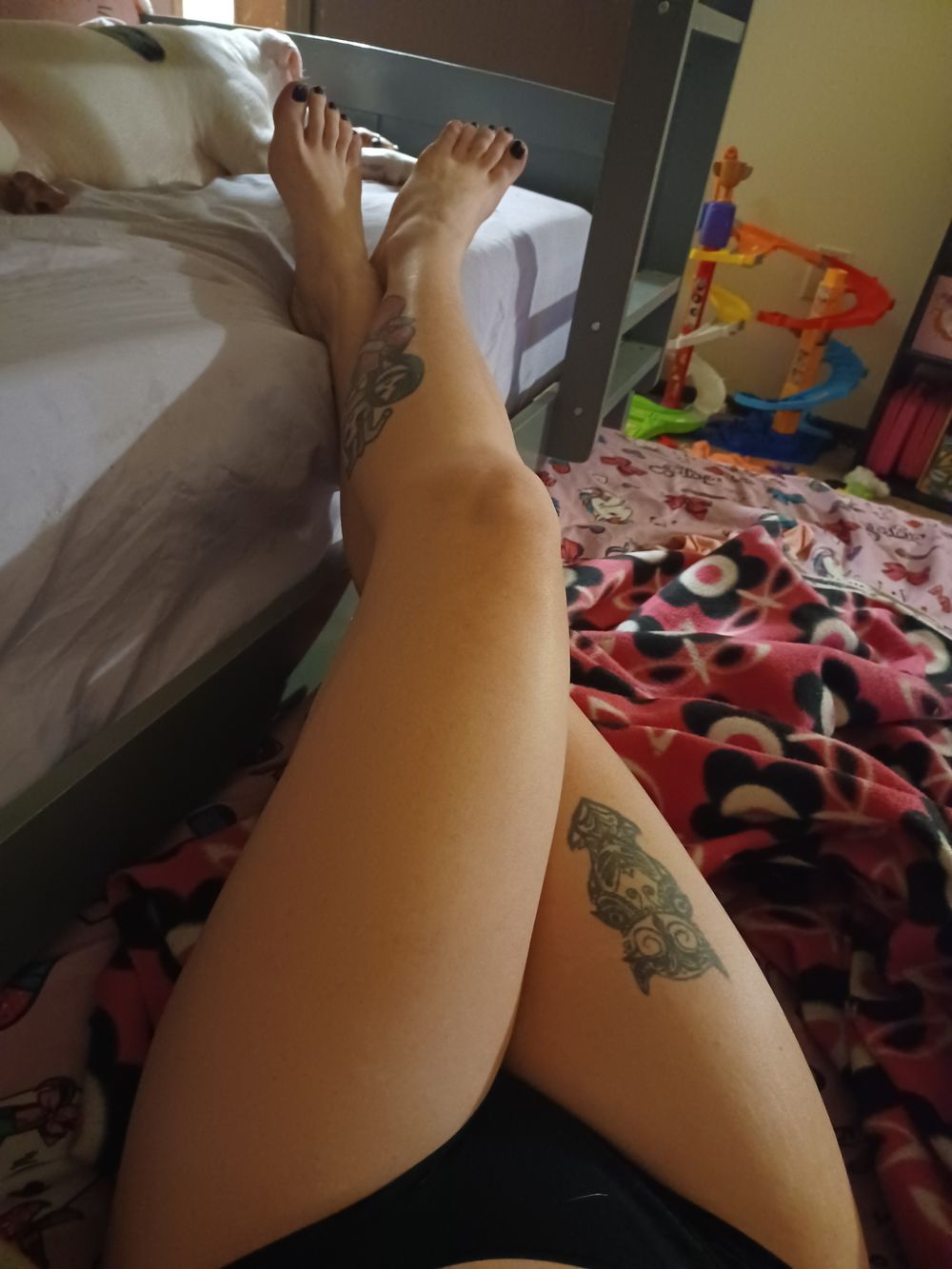 shar-bear OnlyFans profile picture