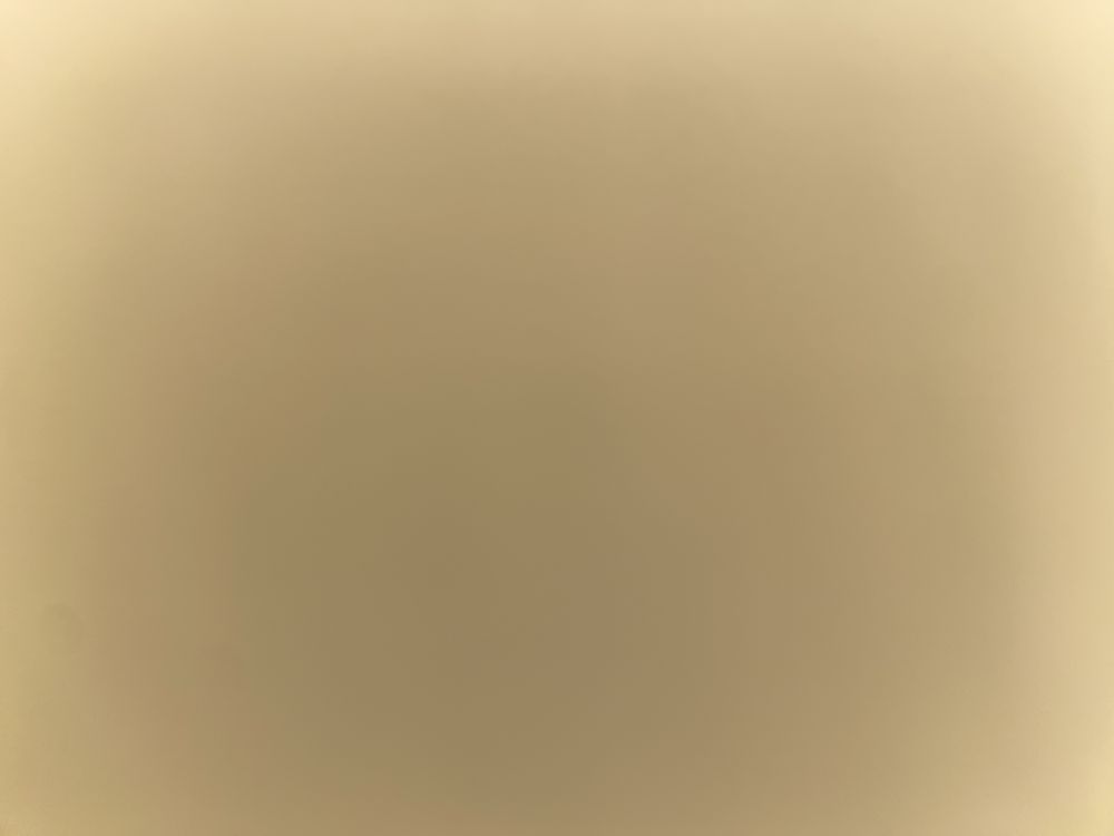 princvsst OnlyFans profile picture