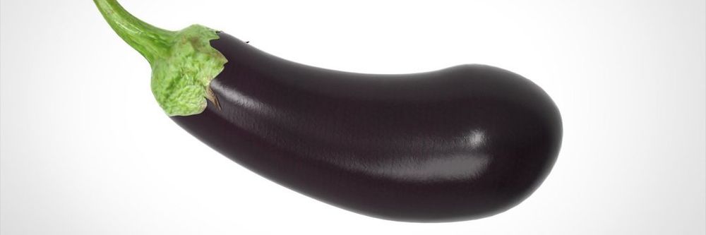 brentwildxxx OnlyFans profile picture