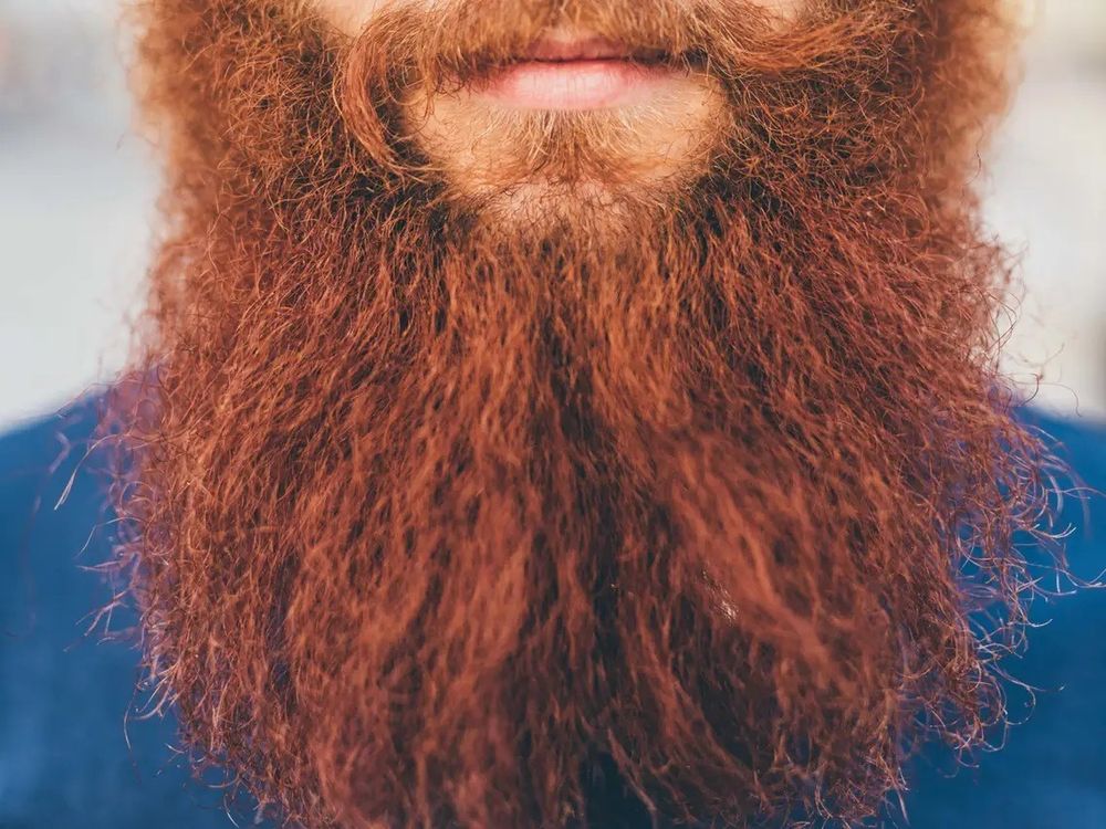 beardandbawlls OnlyFans profile picture