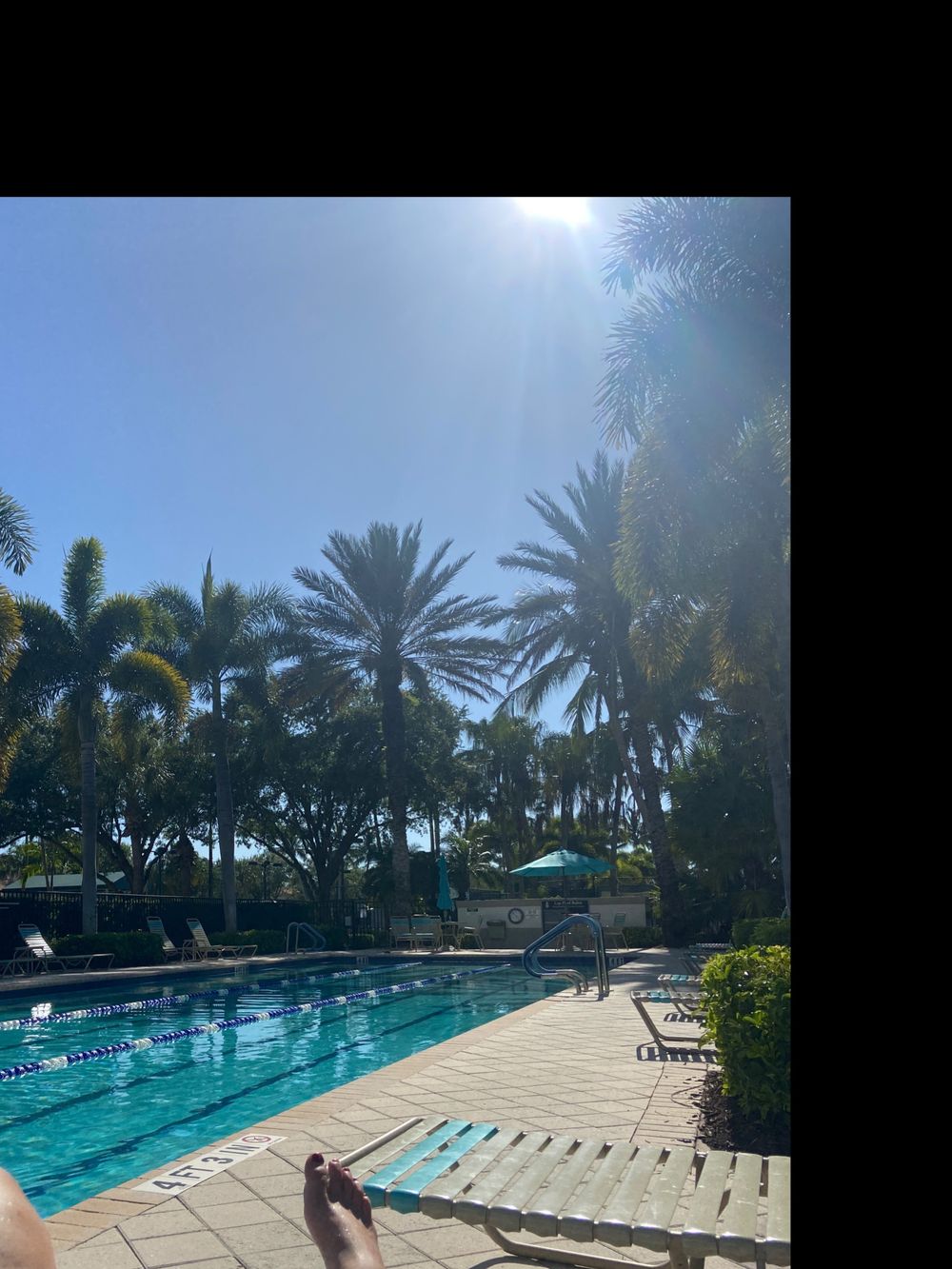 sexyfloridafeet OnlyFans profile picture