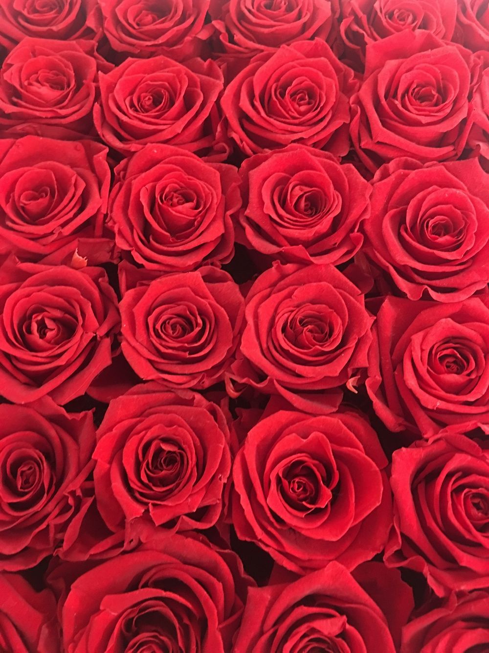 lovely_jewel OnlyFans profile picture