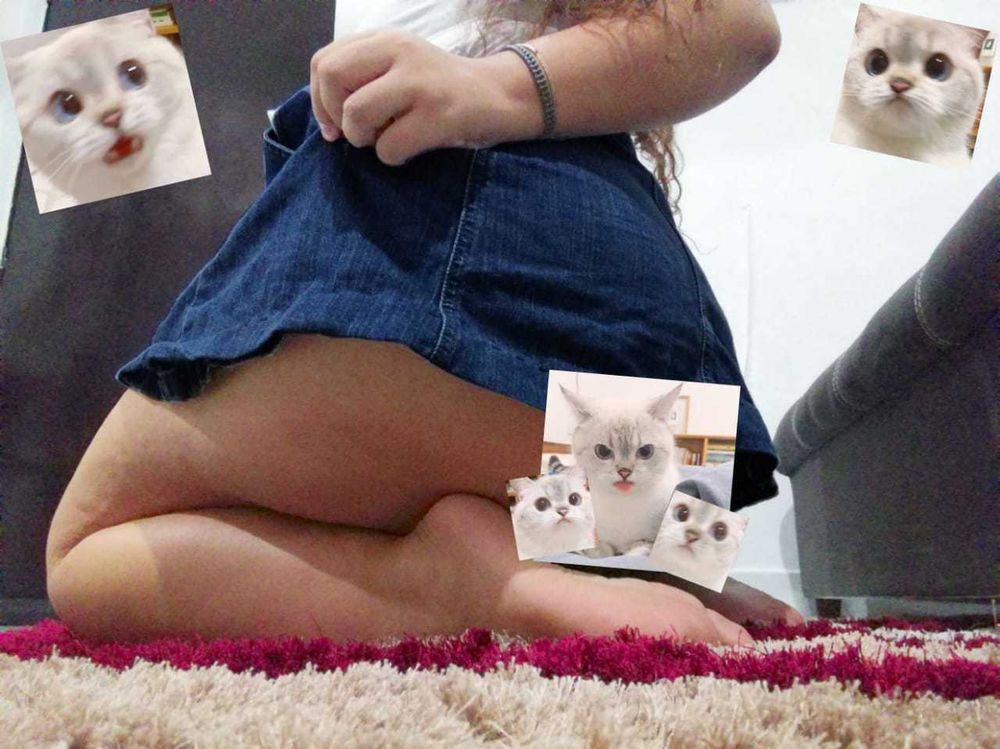 littleprincessbear OnlyFans profile picture