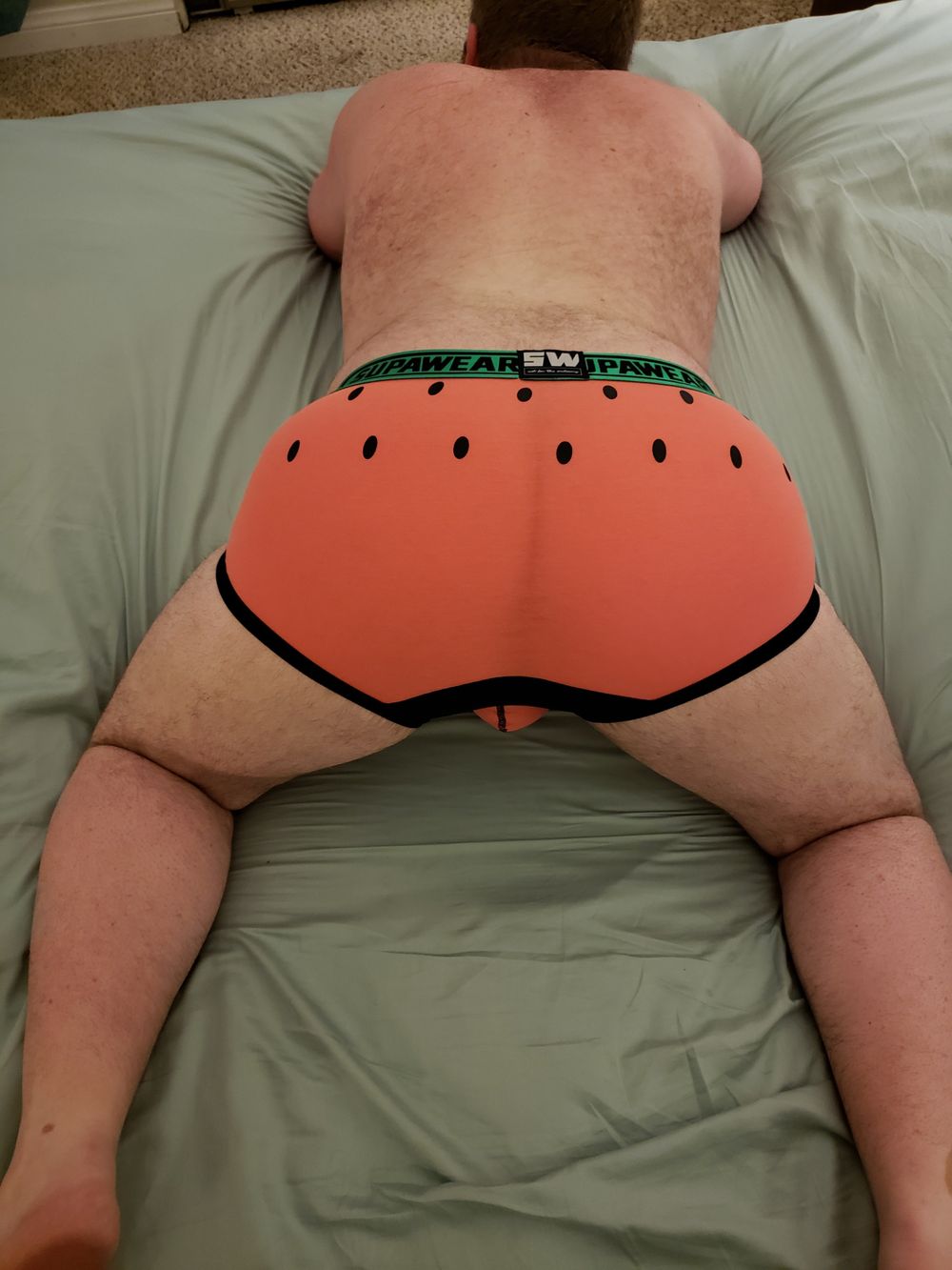 bottombear11 OnlyFans profile picture