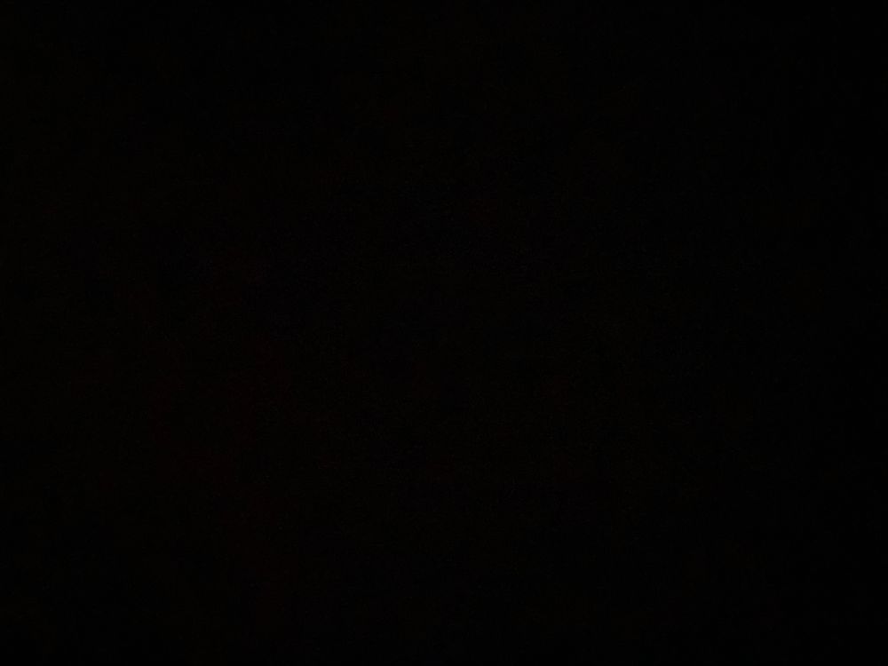 braddlatino OnlyFans profile picture