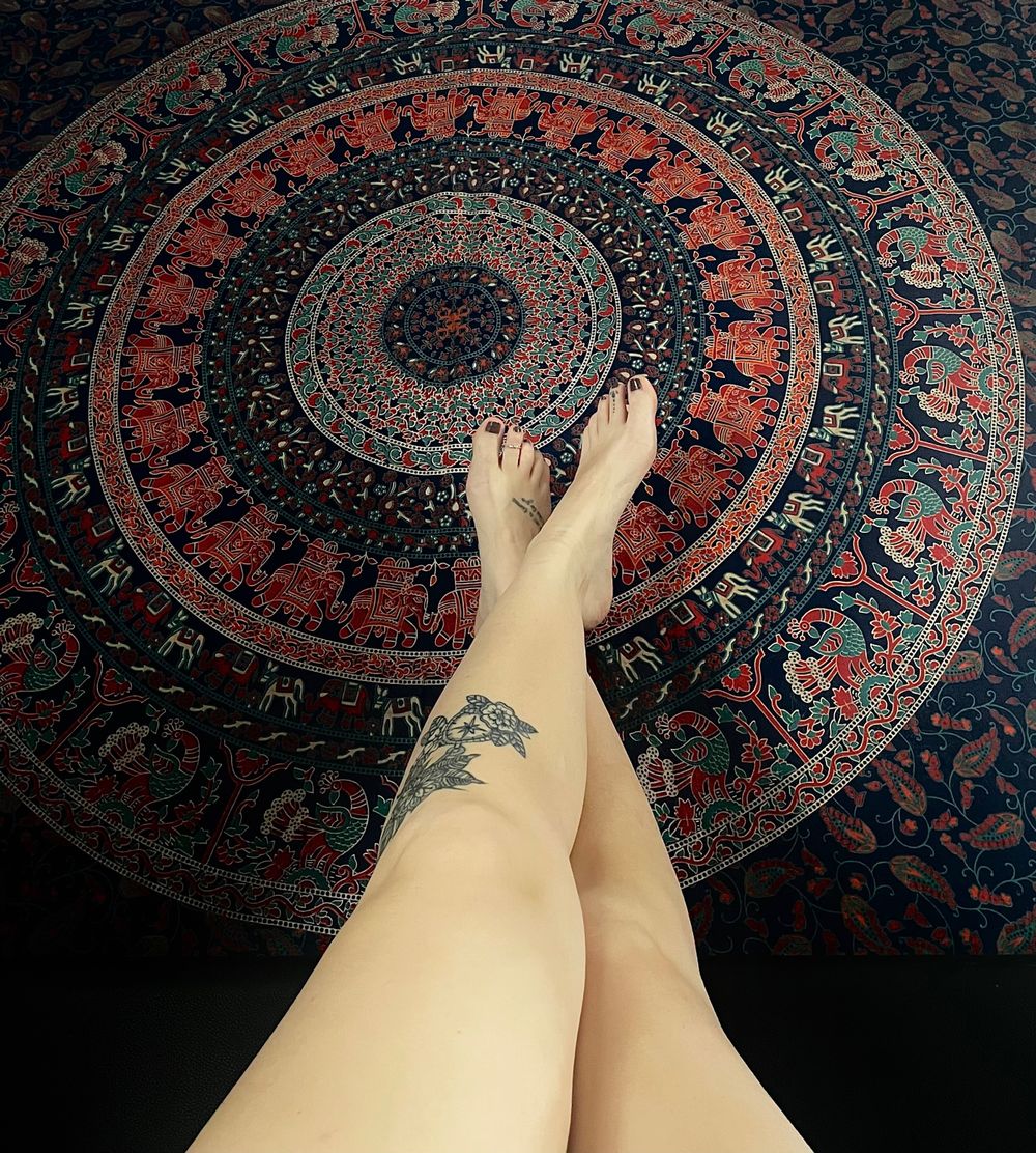 ariel9210 OnlyFans profile picture