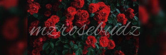lovelysunflower OnlyFans profile picture