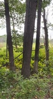 thefauxpas OnlyFans profile picture