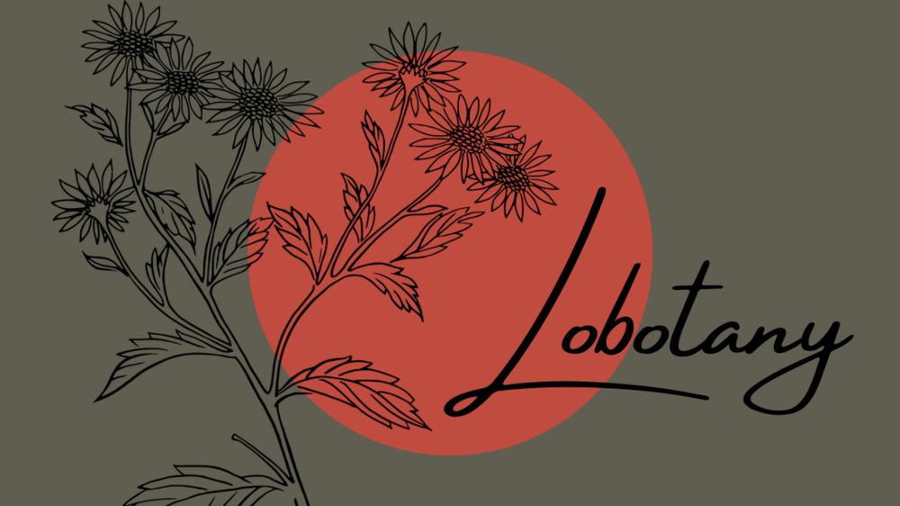 lobotany OnlyFans profile picture