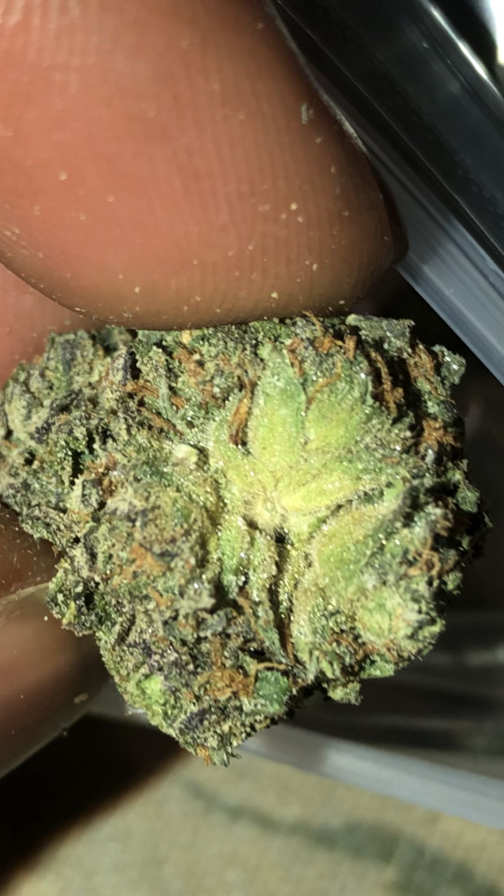 soostoned OnlyFans profile picture