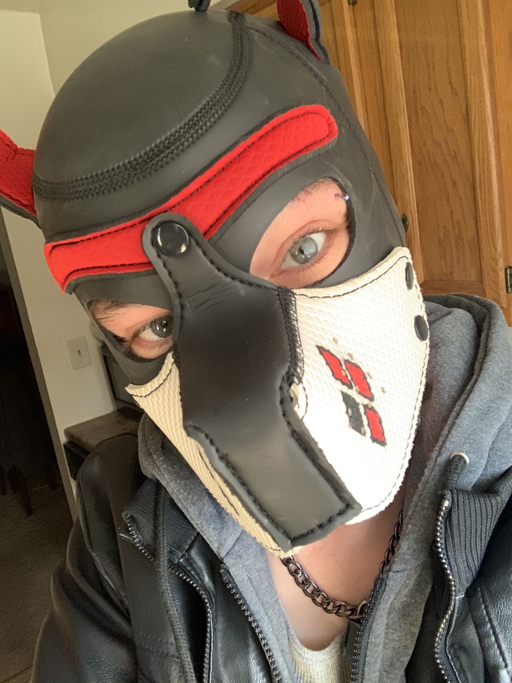 fallen_pup OnlyFans profile picture