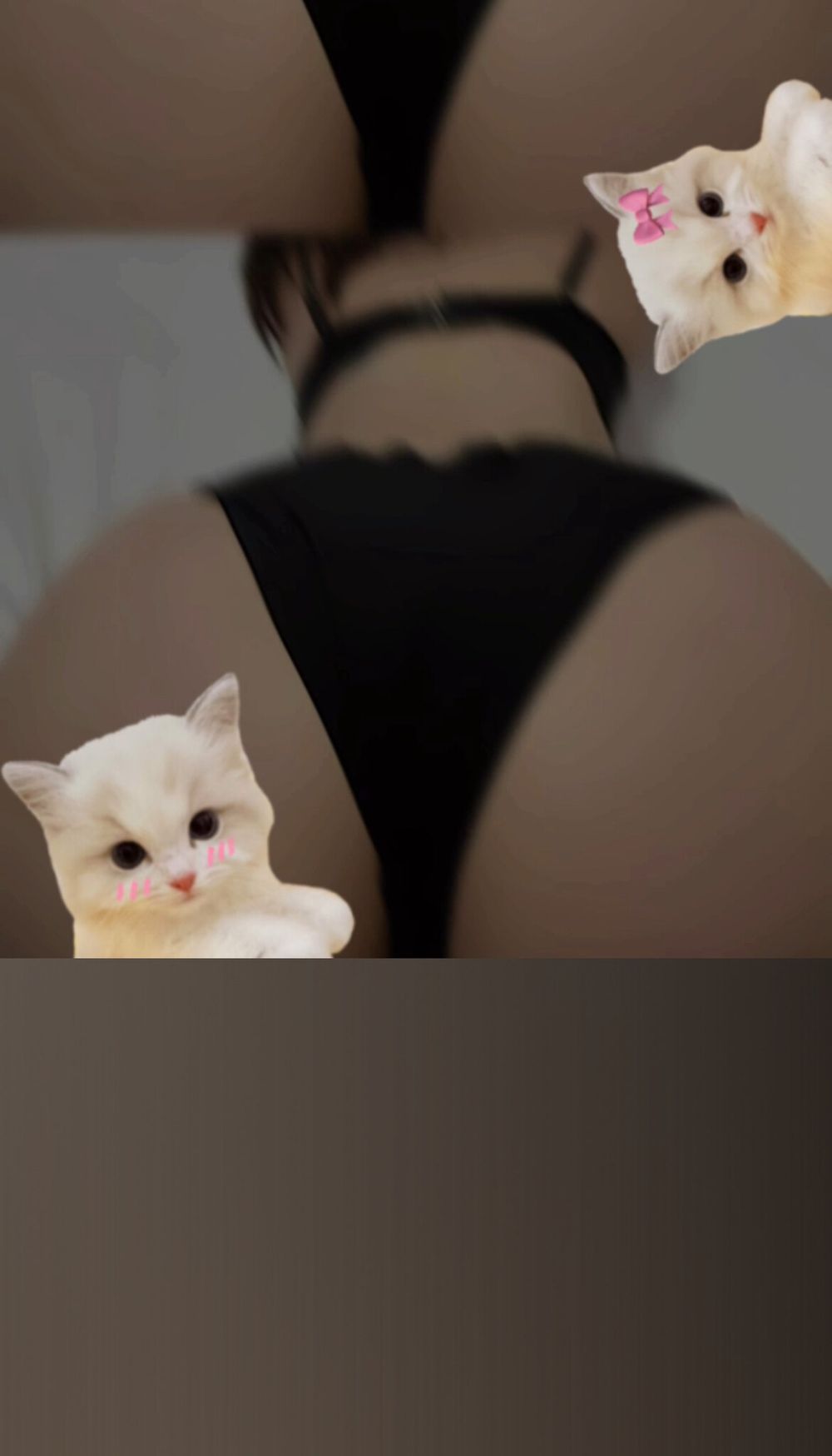 dollgz OnlyFans profile picture