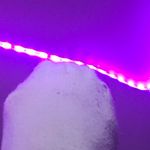 sirenonthehill free onlyfans trial