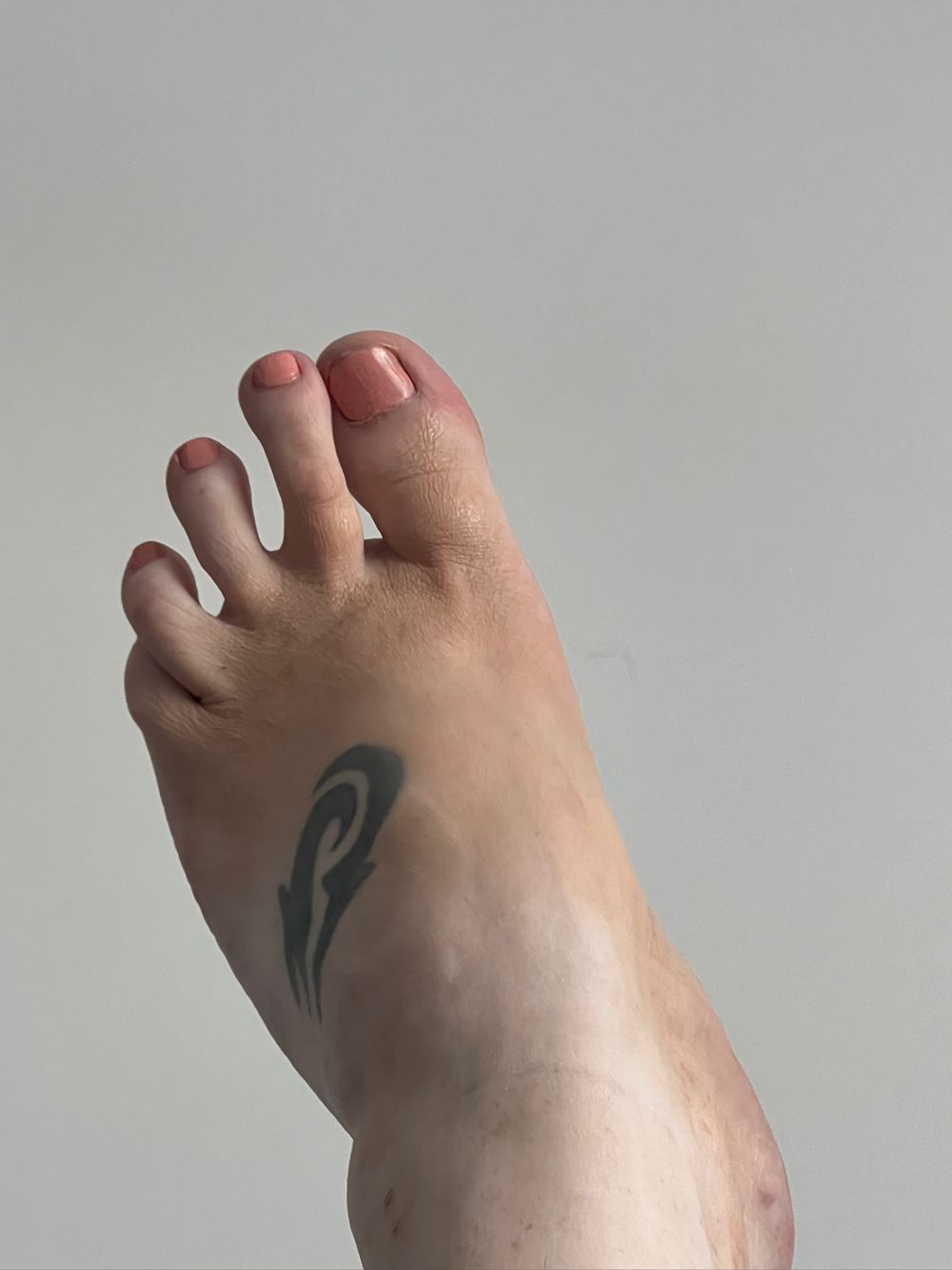 u48850259 OnlyFans profile picture