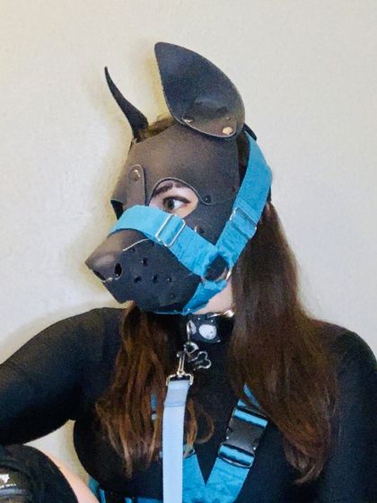 knightlywolfpup OnlyFans picture