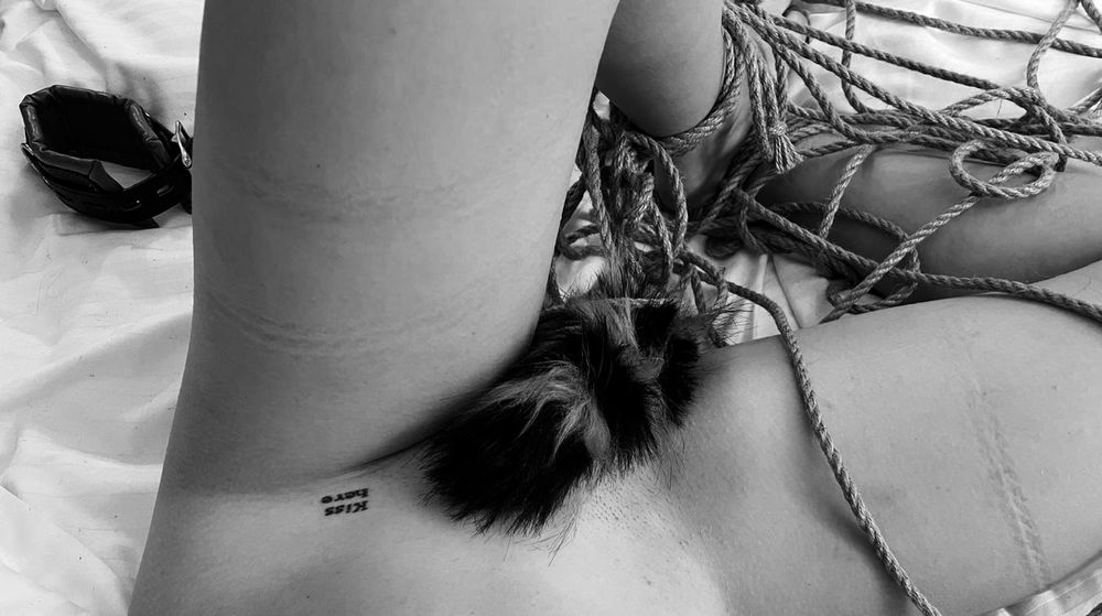 fxlara OnlyFans profile picture