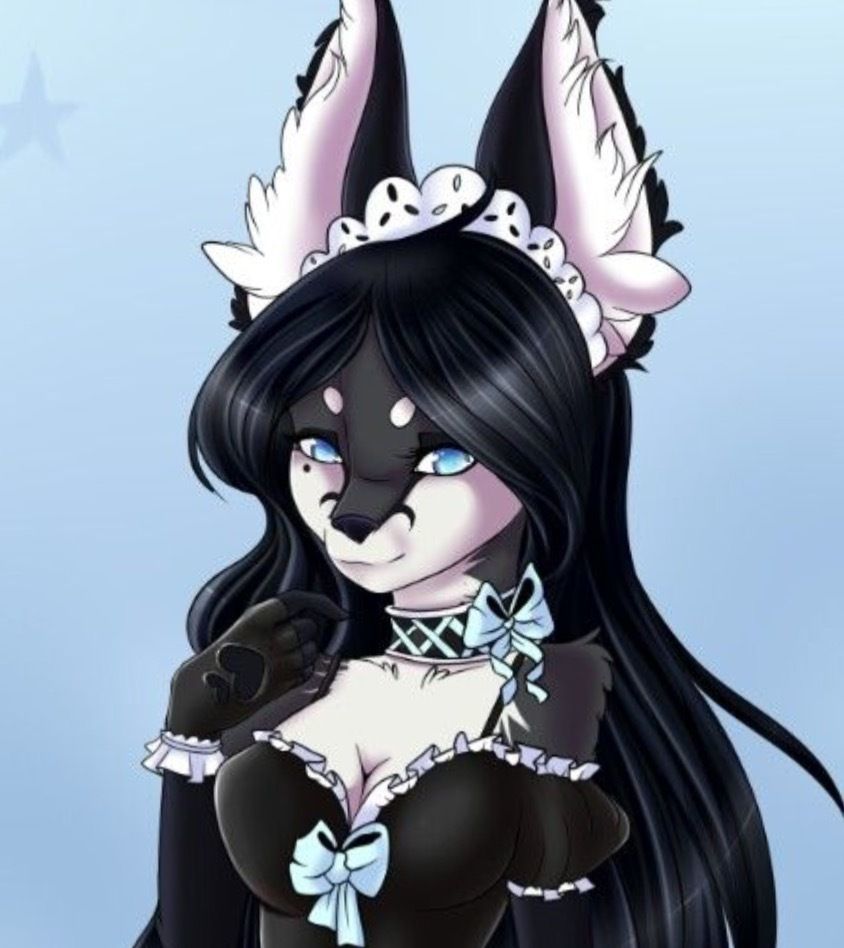 bingothewolf OnlyFans profile picture
