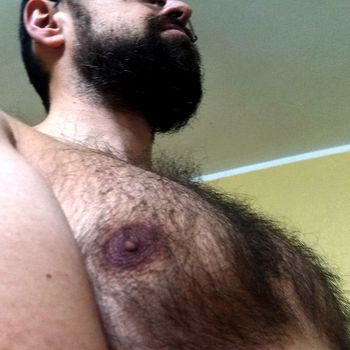 Hairy Teddy VIP