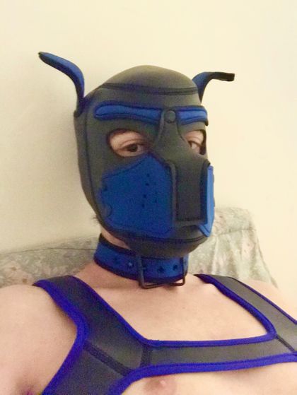 lekinkytwink OnlyFans picture