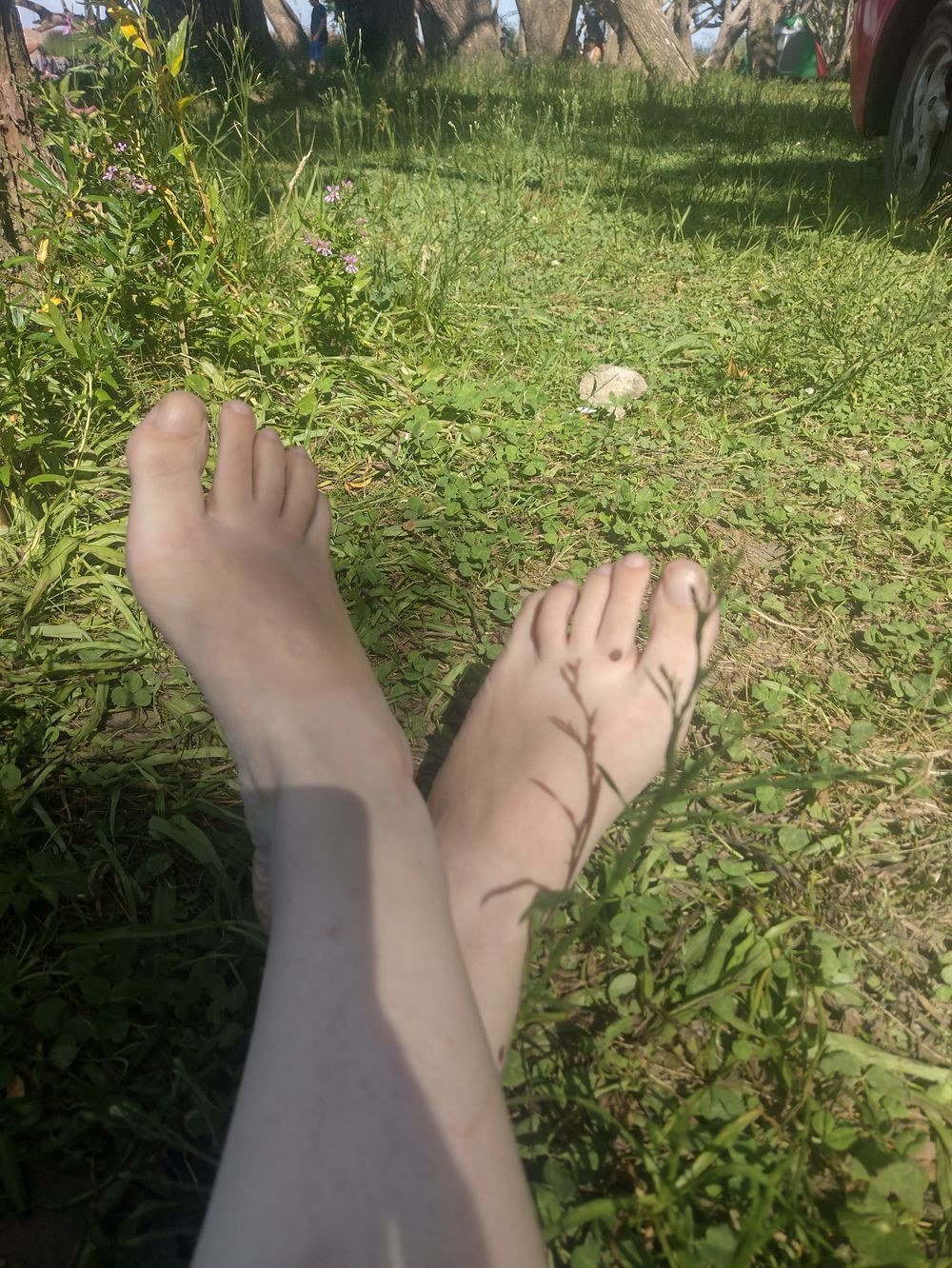ligiadaleo OnlyFans profile picture