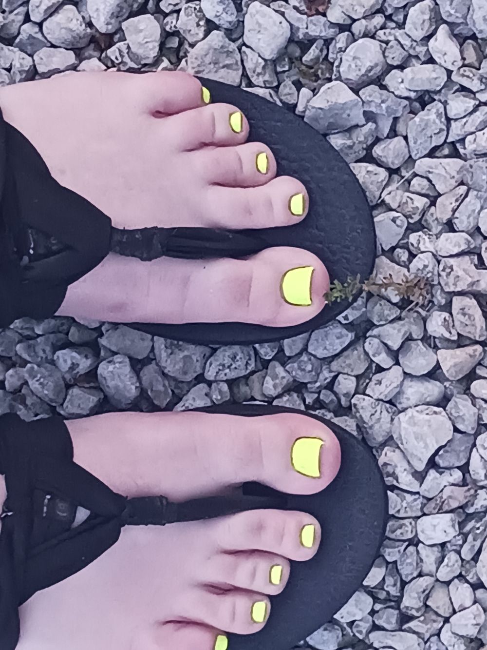 noellek OnlyFans profile picture