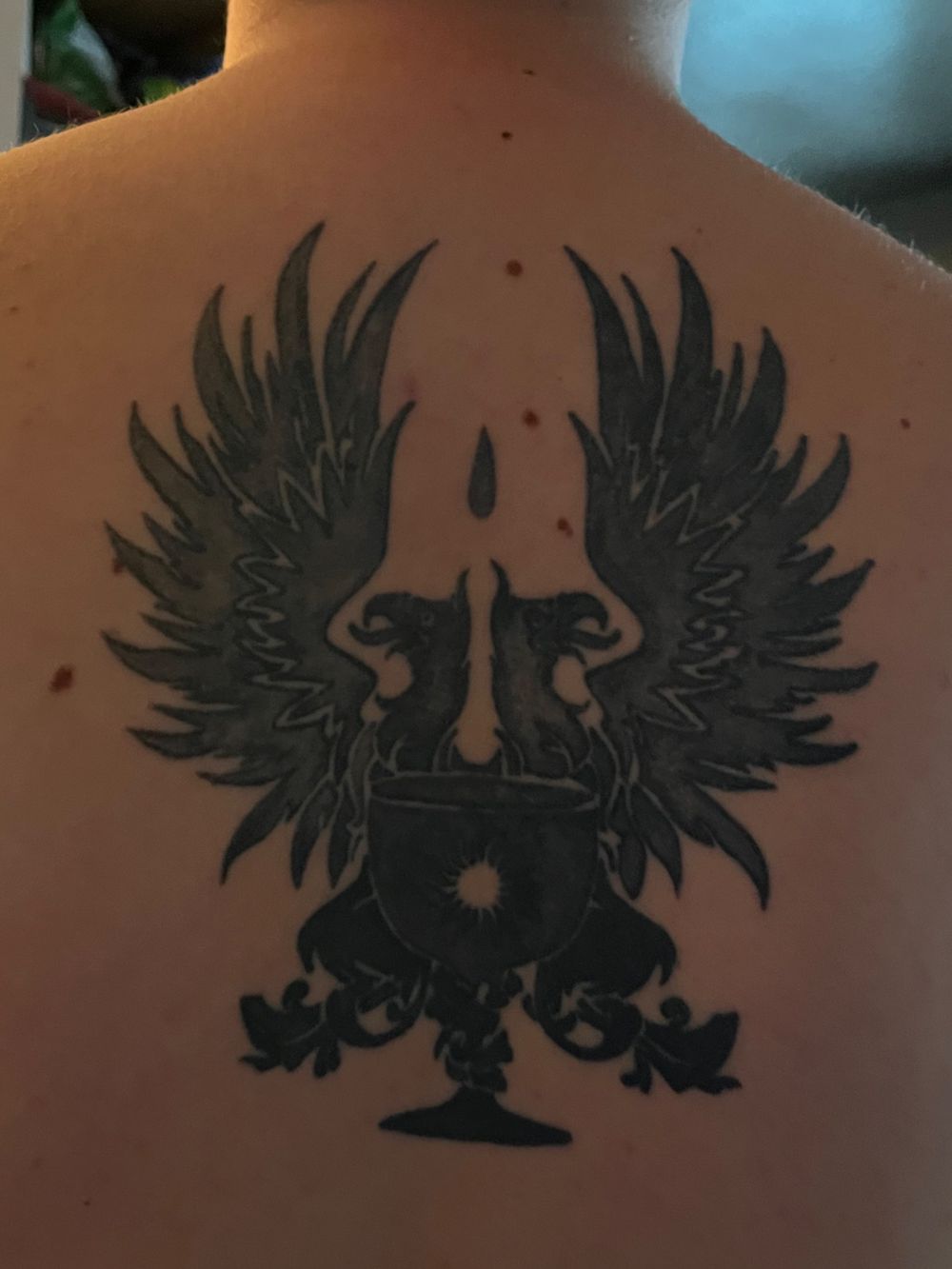 kyng_v0lcano OnlyFans profile picture