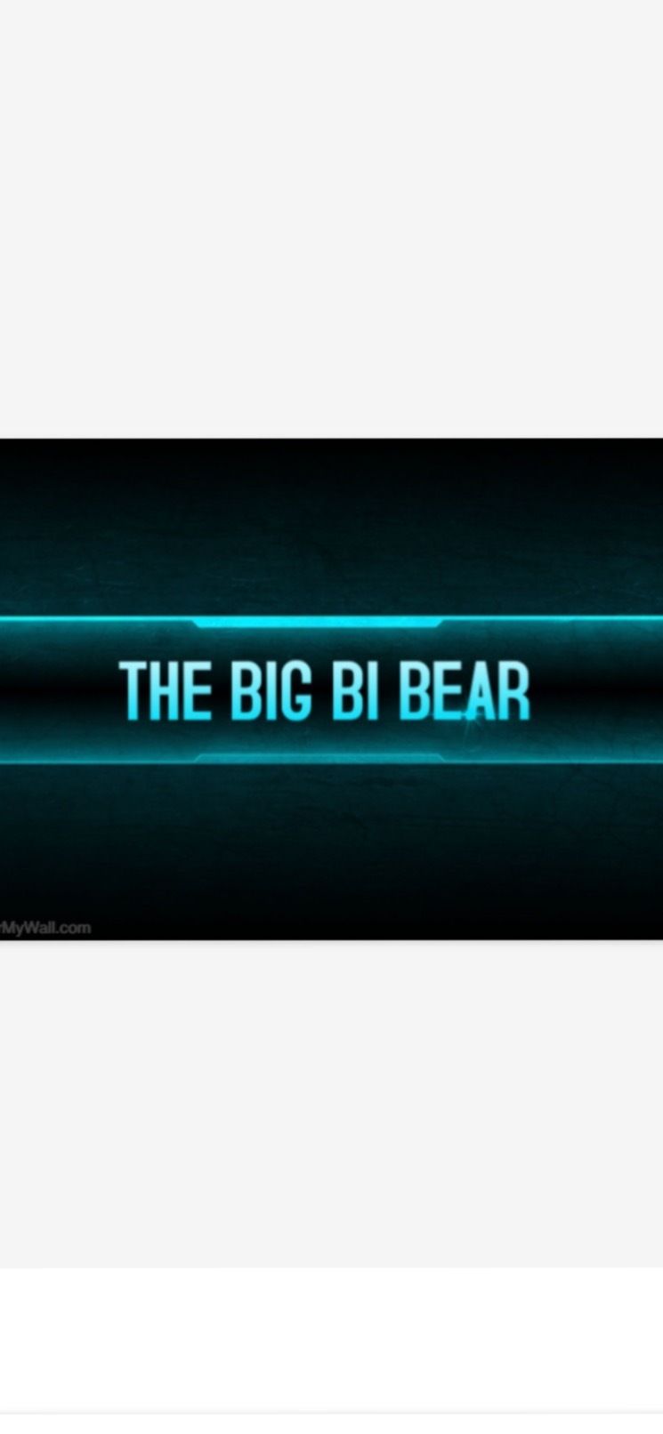 thebigbibear1 OnlyFans profile picture