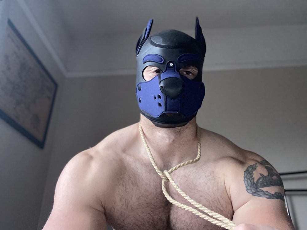 puprocky95 OnlyFans profile picture