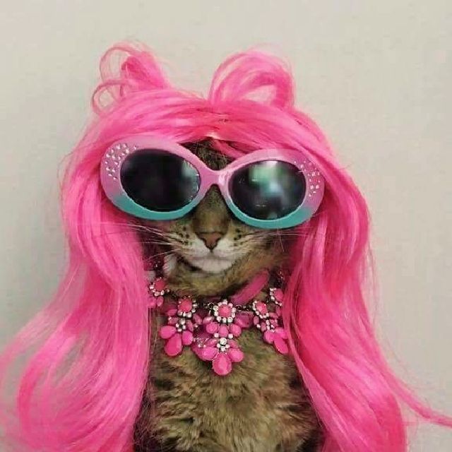 diablorose OnlyFans profile picture