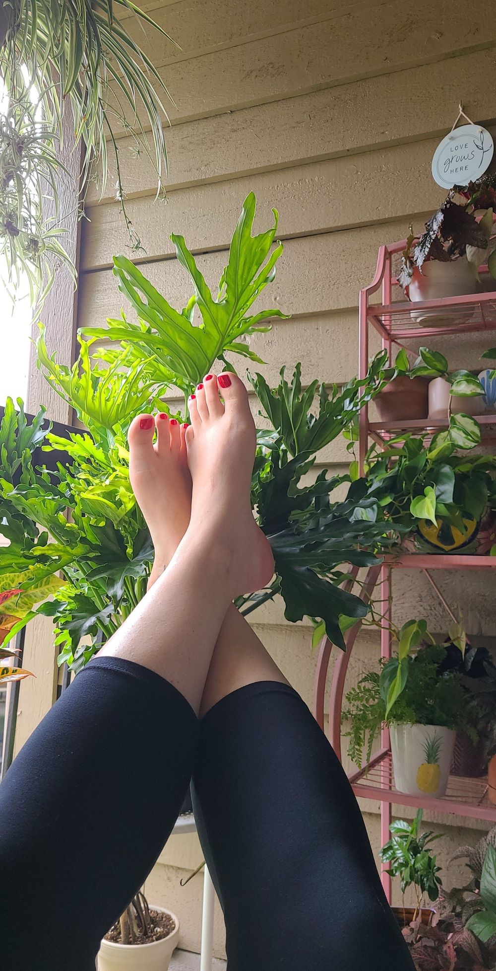 u262576796 OnlyFans profile picture