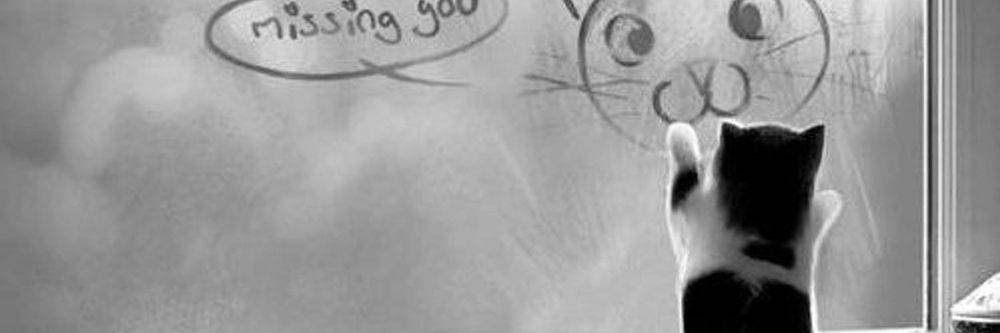 othersideofgrey OnlyFans profile picture