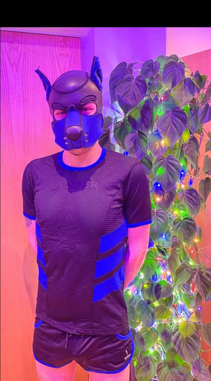 pupshadow1 OnlyFans picture