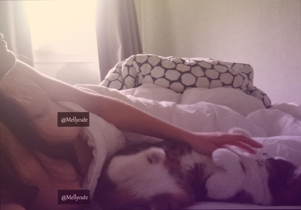 mellycute OnlyFans profile picture