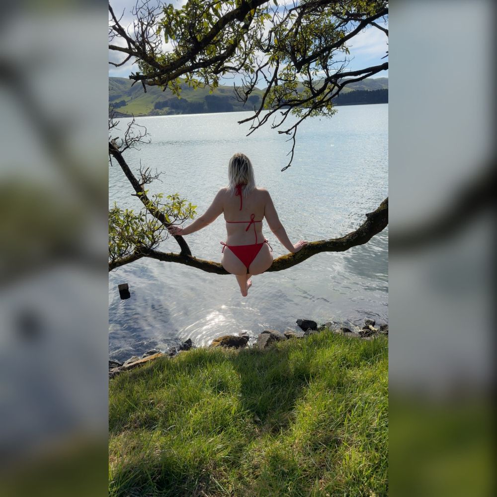nztaraxo OnlyFans profile picture