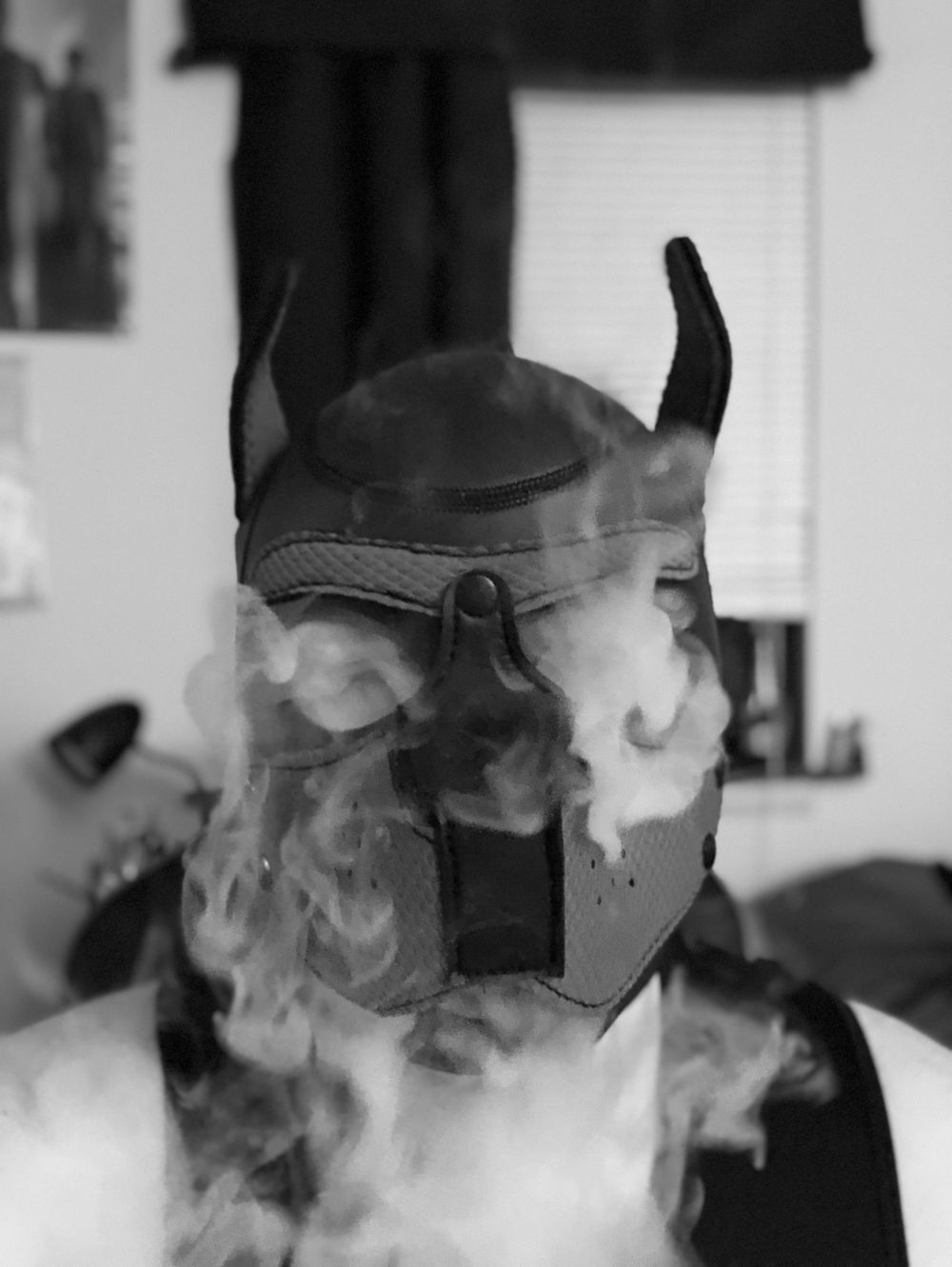 jeffdaboycub OnlyFans profile picture