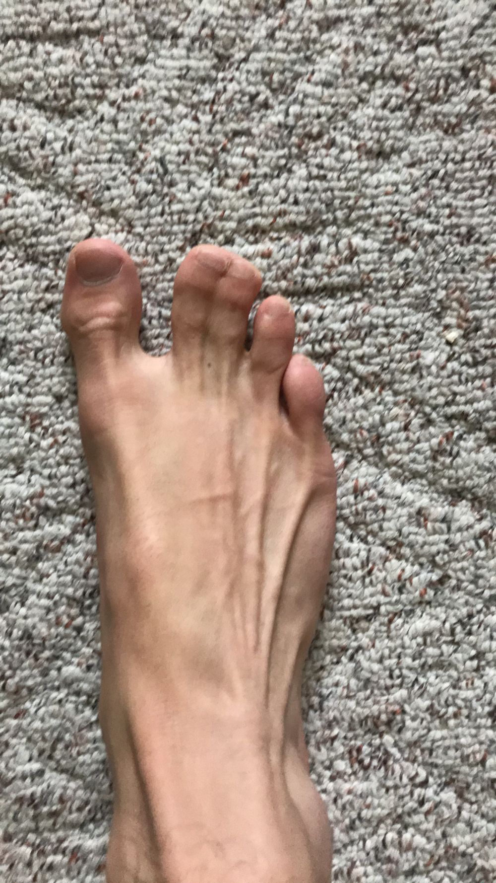 the_webbed_toes OnlyFans profile picture
