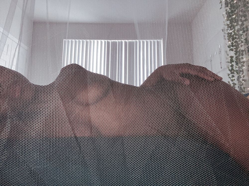lawniegirl OnlyFans profile picture