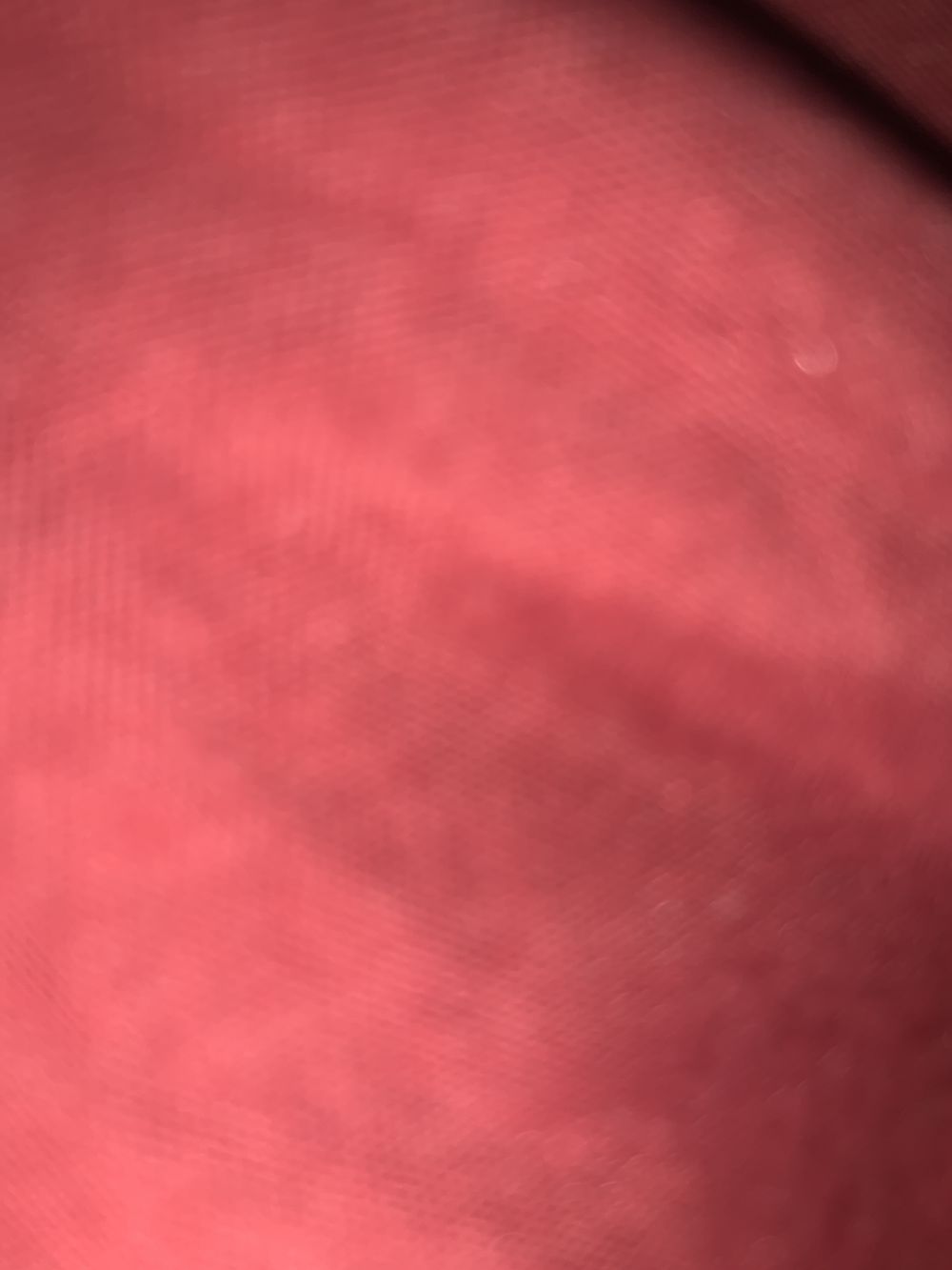 sexybossxxl OnlyFans profile picture