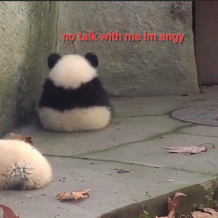 a_cactusking OnlyFans profile picture