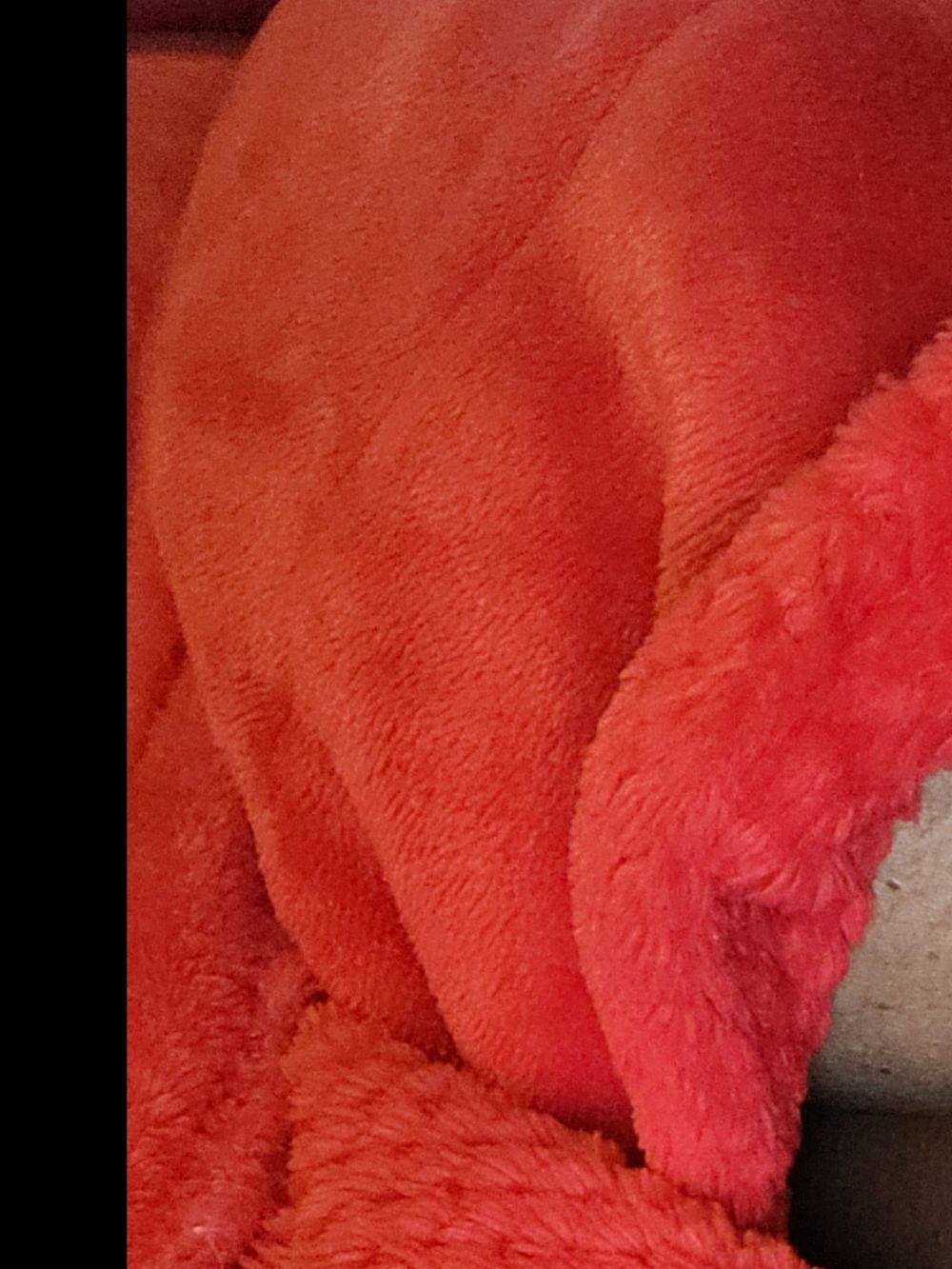 shephat OnlyFans profile picture