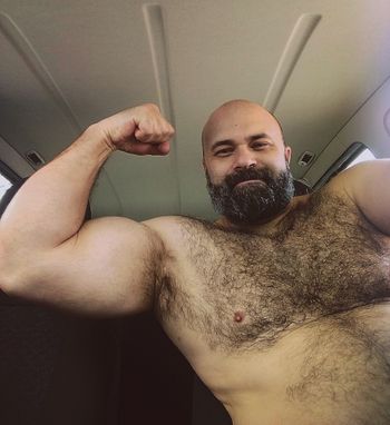 Bear Rodrigo Souza