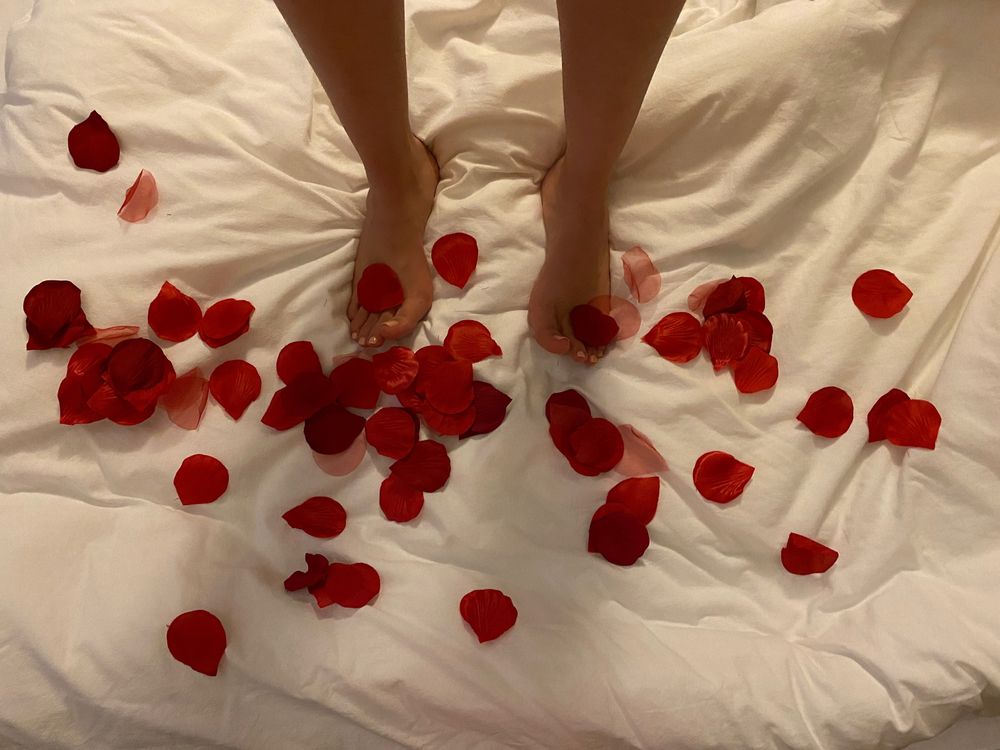 therosieroshow OnlyFans profile picture