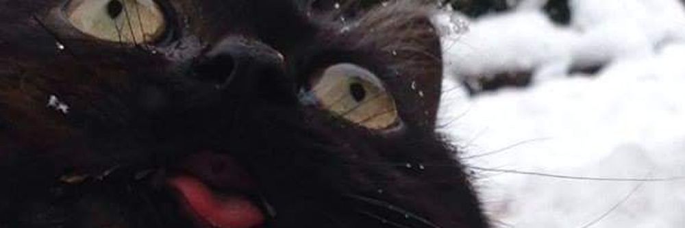 mrkittymeyers OnlyFans profile picture