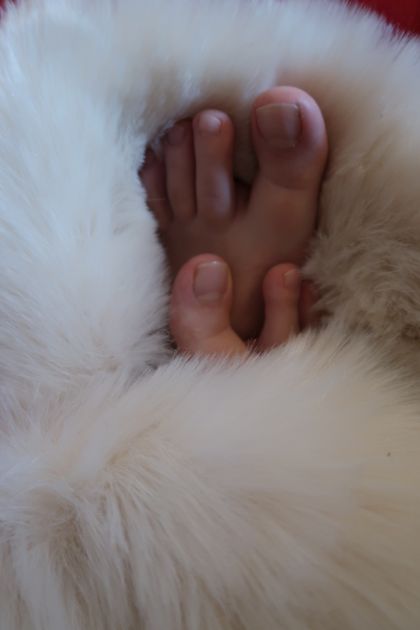 stella.whisperwind OnlyFans picture