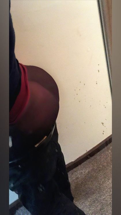 harvard03282001 OnlyFans picture