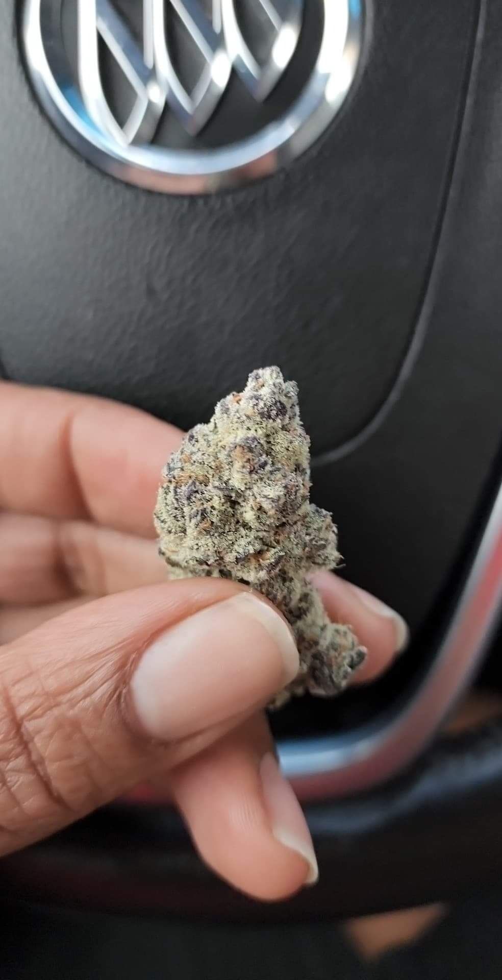 growguru OnlyFans profile picture