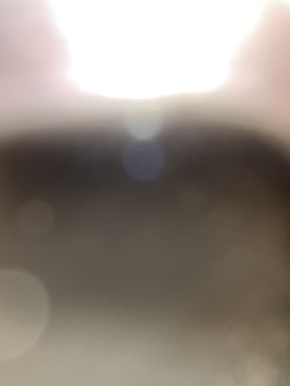 elquetecomeentero OnlyFans profile picture