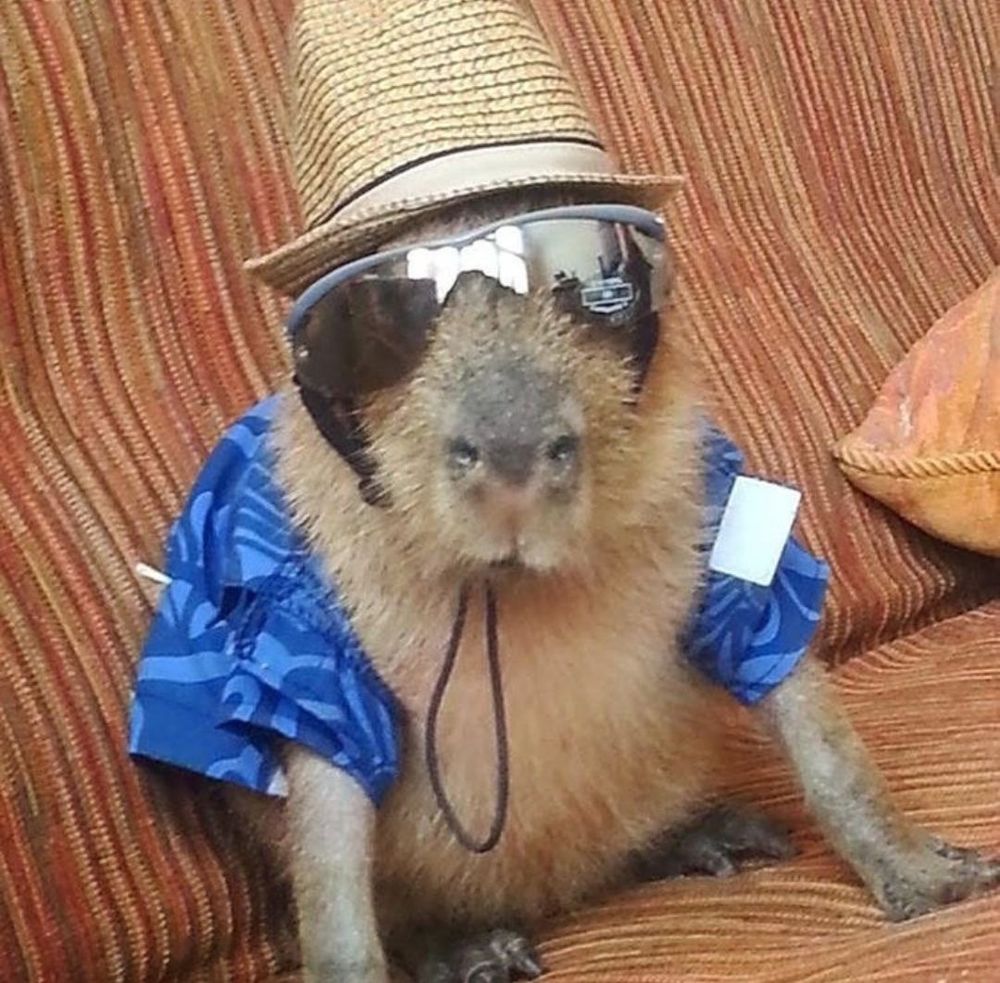 thiquetrash OnlyFans profile picture